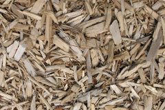 biomass boilers Iken